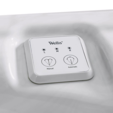 Спа бассейн Wellis Everest Life Deluxe Спа бассейн Wellis Everest Life Deluxe