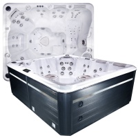 Гидромассажный спа бассейн Hydropool Self Cleaning 970 Titanium Гидромассажный спа бассейн Hydropool Self Cleaning 970 Titanium